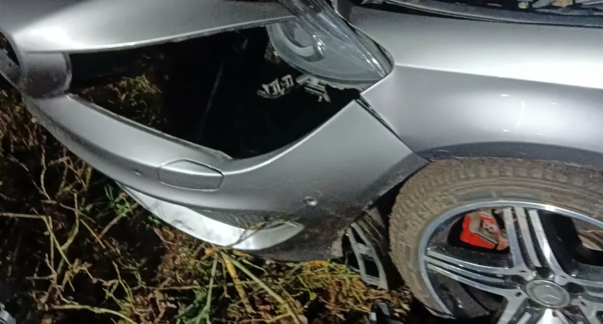 Omijał zwierzę, wjechał w drzewo. Kolizja w miejscowości Żaby. na pomoc pojechali strażacy i policjanci