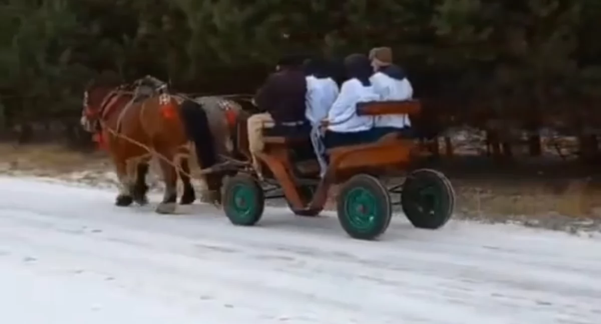 [WIDEO] W tej miejscowości ksiądz jedzie do swoich parafian bryczką. Wyjątkowa kolęda w gminie Żytno