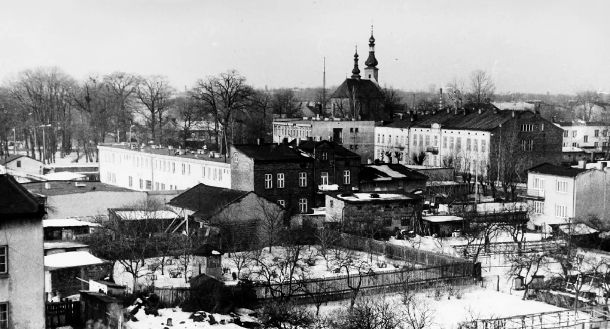 Sędzia Imieniński wśród ciemności wpadł na rozwalone stosy drzewa na trotuarze [Historia Gazetą pisana] 