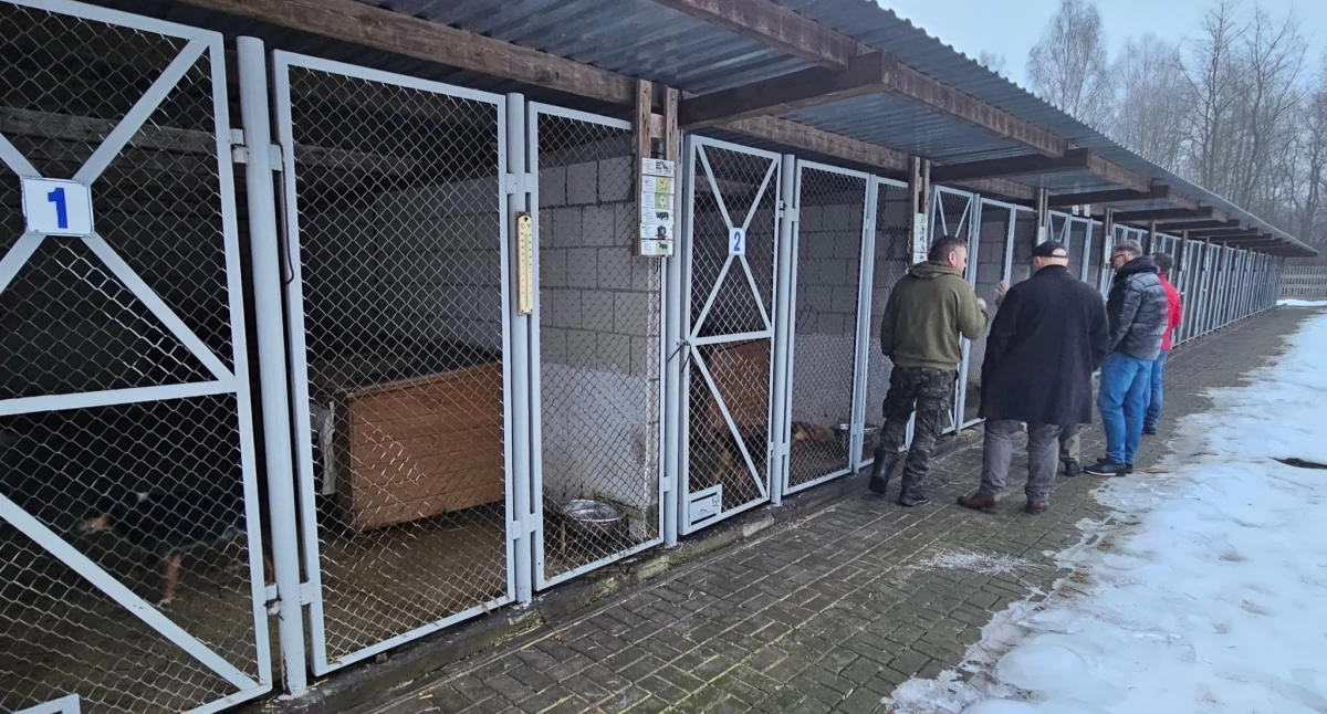 Radni zaglądają za schroniskowe kraty. Sprawdzają, czy zwierzakom w Radomsku nie brakuje opieki