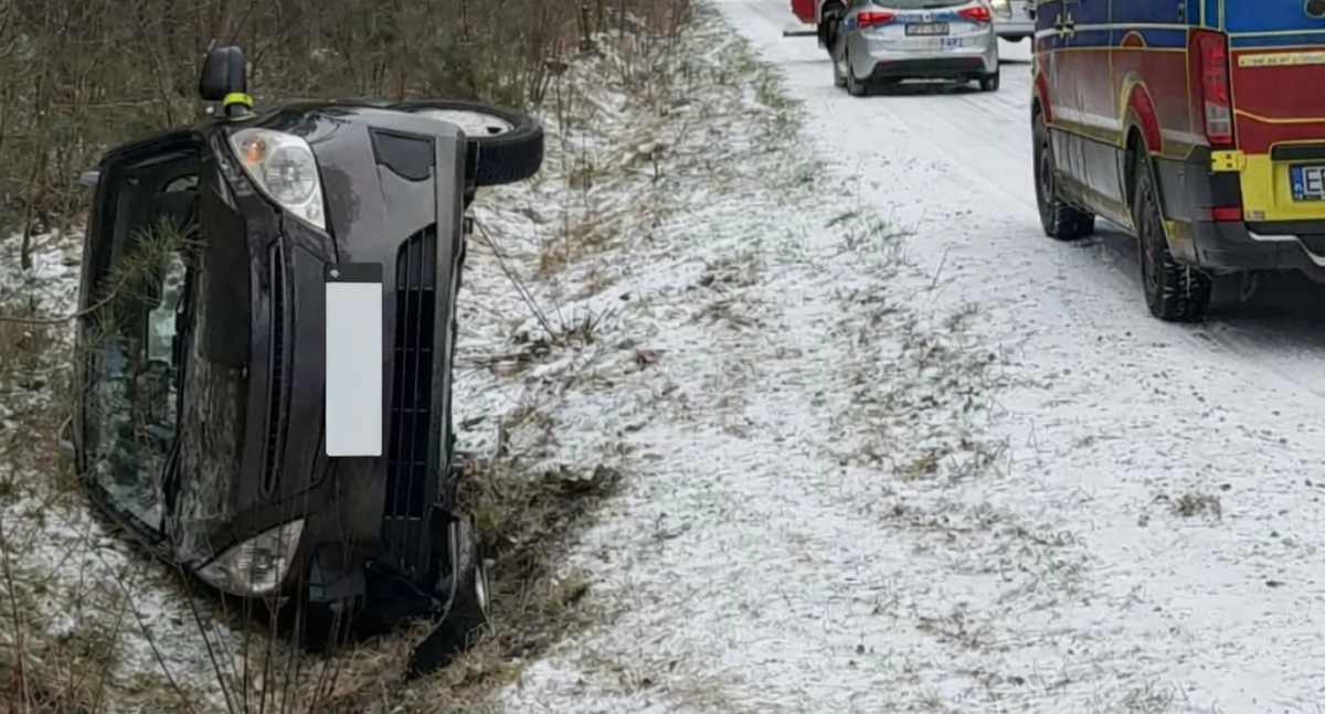 48-latka jechała zbyt szybko. Auto wypadło z drogi. Policjanci wypisali jej mandat