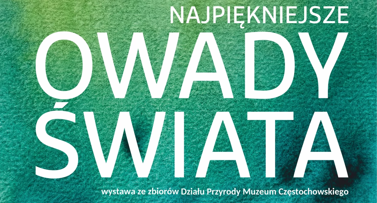 Przyrodnicza wystawa w muzeum. Otwarcie w najbliższy wtorek