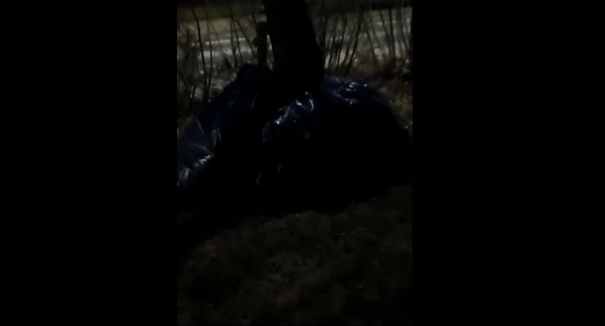 [WIDEO] Czytelnik: - Tak się w Radomsku pozbywa śmieci. W środku nocy. Zostawia się to wszystko pod drzewem