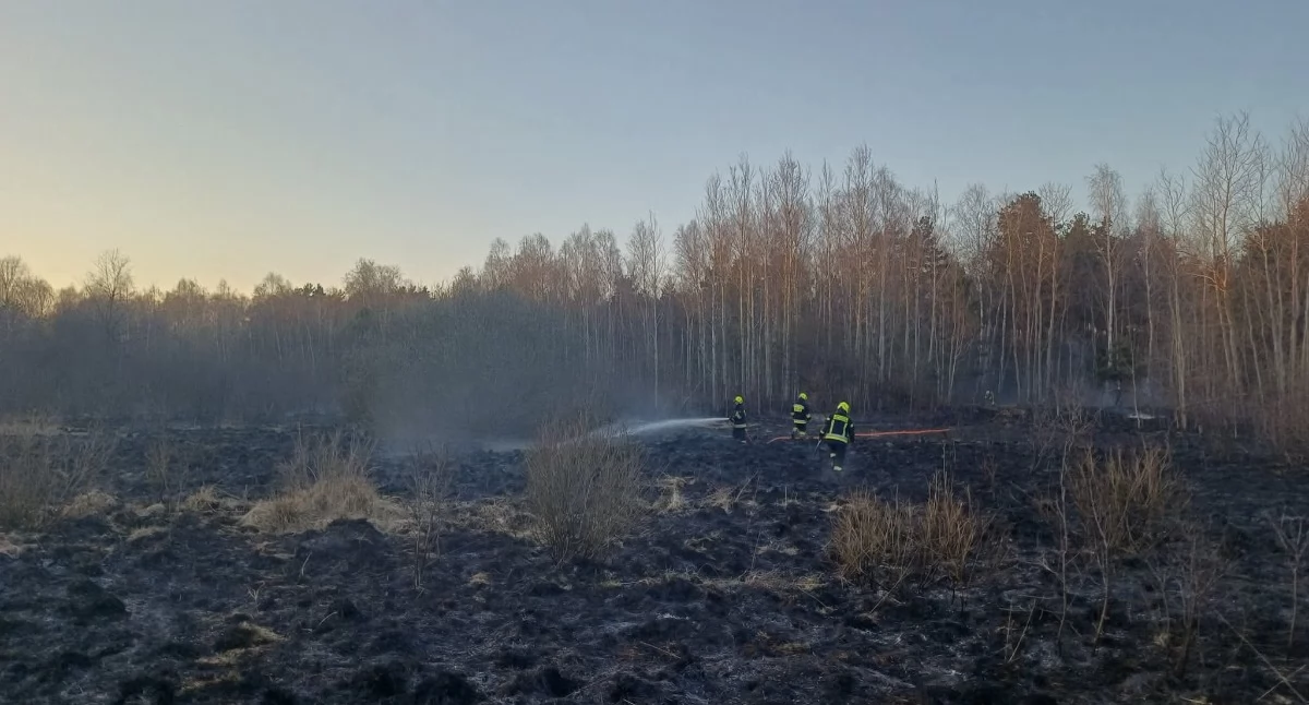 Pożarowa sobota. Strażacy dwanaście razy wyjeżdżali gasić podpalone trawy
