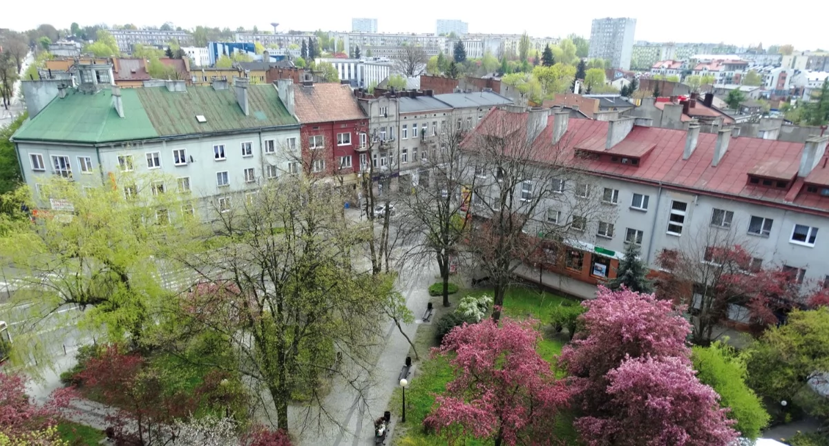 O co chodzi w Planach Ogólnych? Ściąga krok po kroku. Kto zyska, kto straci i co zależy od gminy a co nie