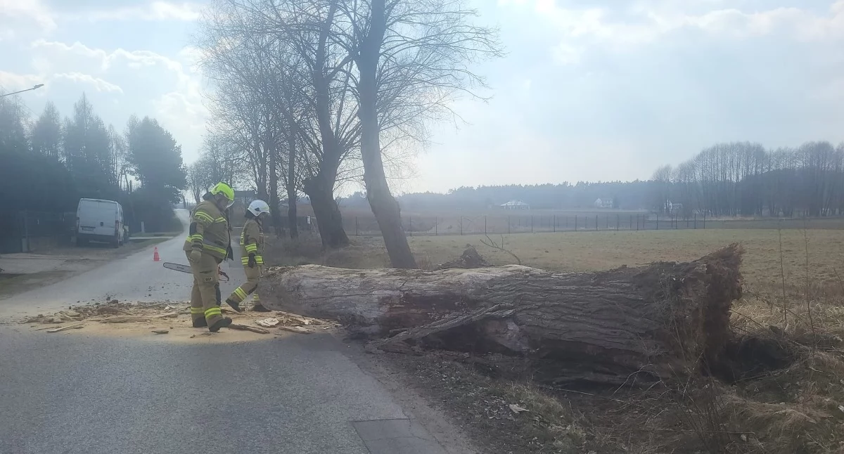 Czasem do pożaru, czasem do wypadku, a czasem do przewróconego na drogę drzewa