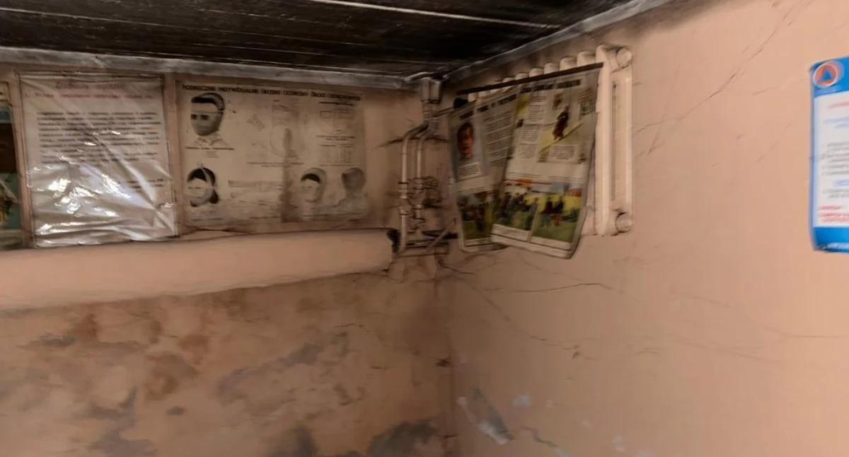 Jak to jest w Skandynawii. Sprawdziliśmy, jak w innych krajach działa system ochrony ludności