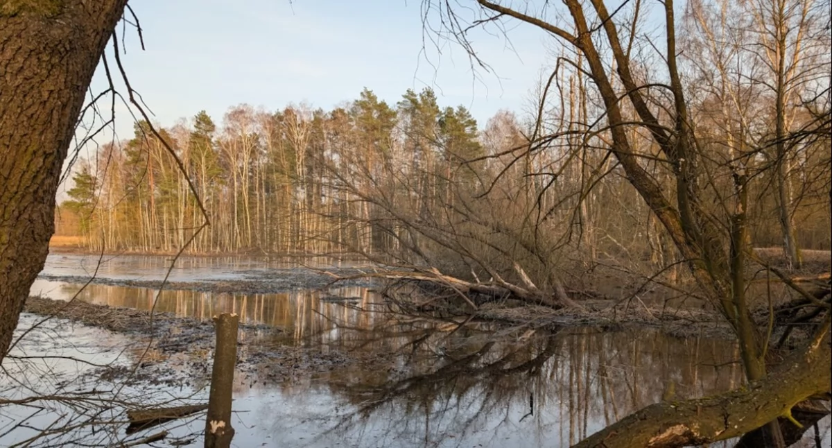 Konkurs na dotacje do 5000 zł dla lokalnych organizacji w powiecie radomszczańskim