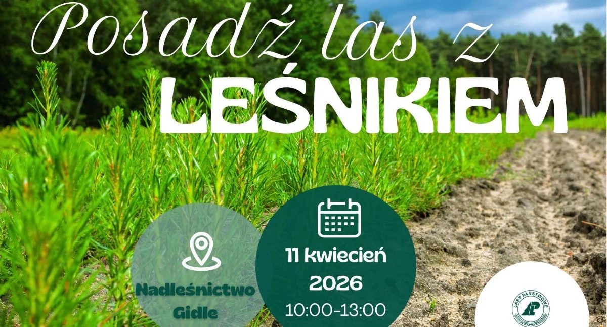 Wspólne sadzenie lasu z leśnikami w Niesulowie szansą na zieloną przyszłość