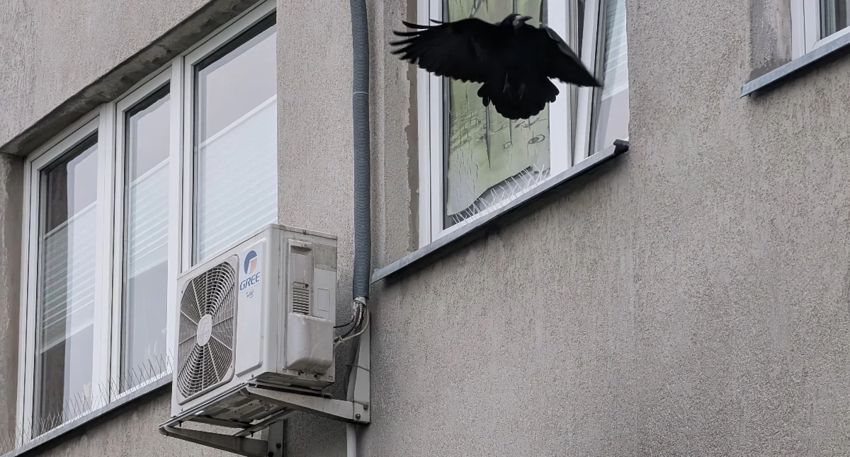 Klimatyzacja w starym bloku? To już nie fanaberia. Trzeba tylko zgody