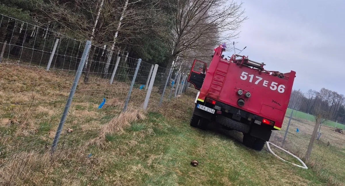 Pożar szklarni w miejscowości Borowa. Straty oszacowano na około 100 tys. zł. To było zwarcie