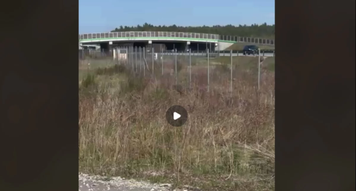 [WIDEO] Czytelnik: - Wyobraź sobie, że lecicie autostradą 140. I nagle przed maską pojawia się... jeleń. Bo ktoś zerwał kłódkę z bramy