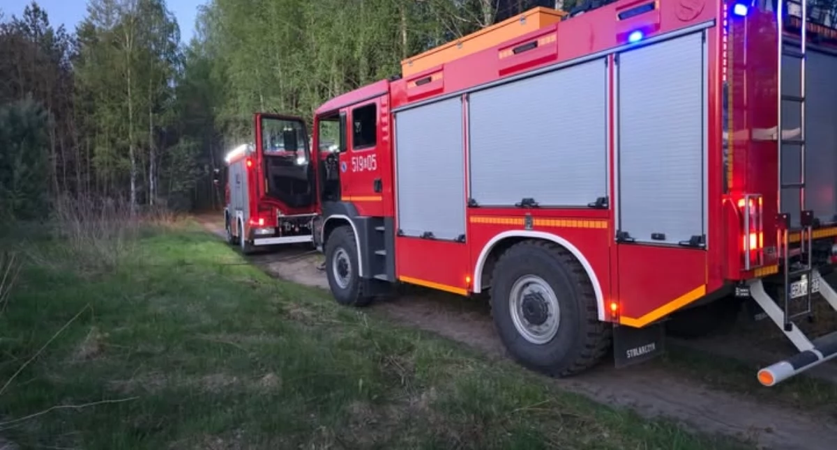 Skończyła się majówka, zaczęły się pożary. Dziewięć jednostek straży gasi las w Szczepocicach Rządowych