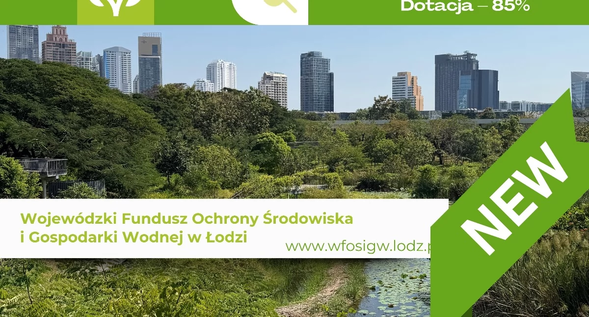 Łódzkie w zieleni. WFOŚiGW w Łodzi uruchamia nabór wniosków na tworzenie nowych terenów zieleni 