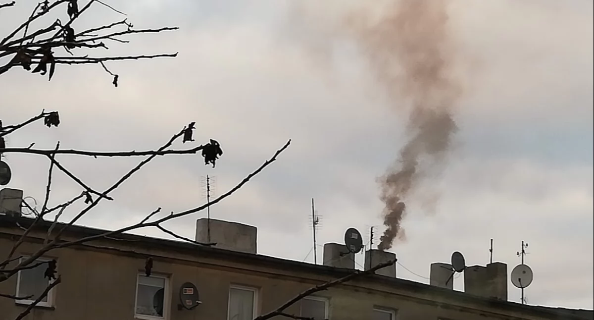 Czarno widzę to powietrze. Jak mieszkańcy wytrzymali 139 dni zanieczyszczonego powietrza