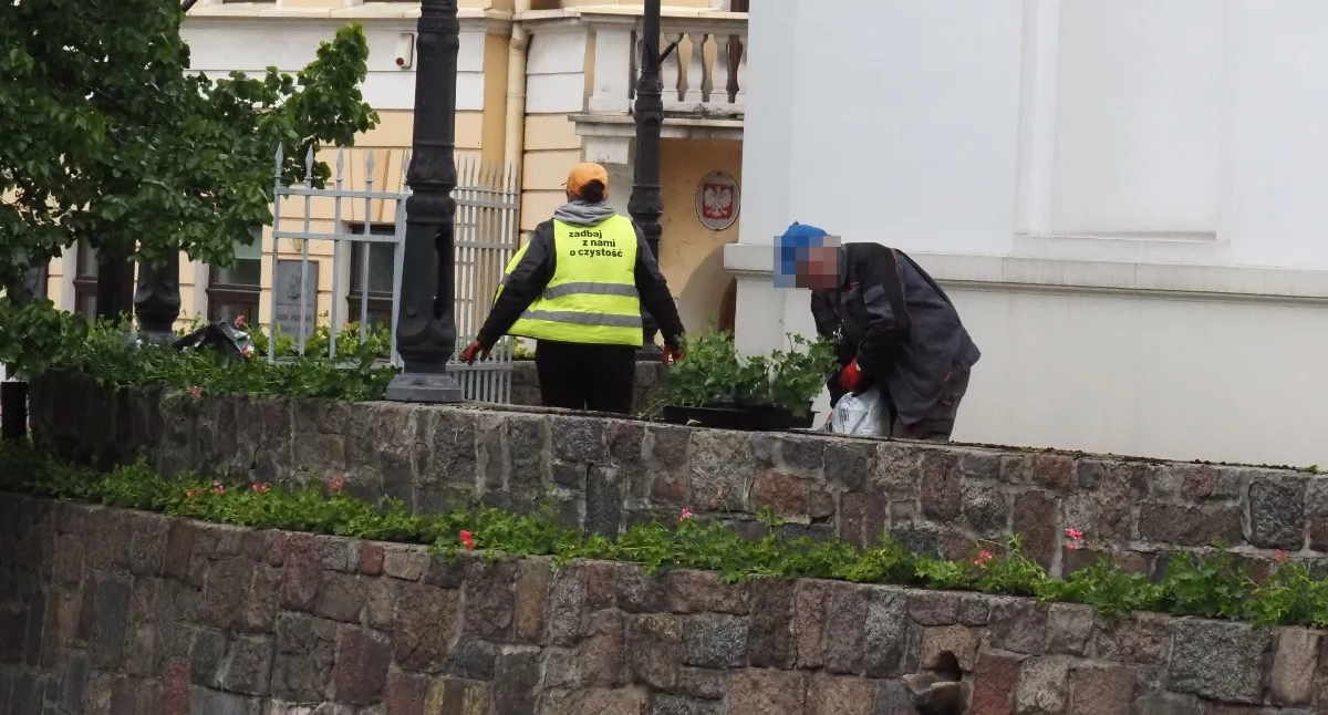 Czytelnik: Dlaczego miejska spółdzielnia Hibiscus sadzi kwiaty na terenie kościoła św. Lamberta? Kto za to płaci? Sprawdziliśmy: miasto