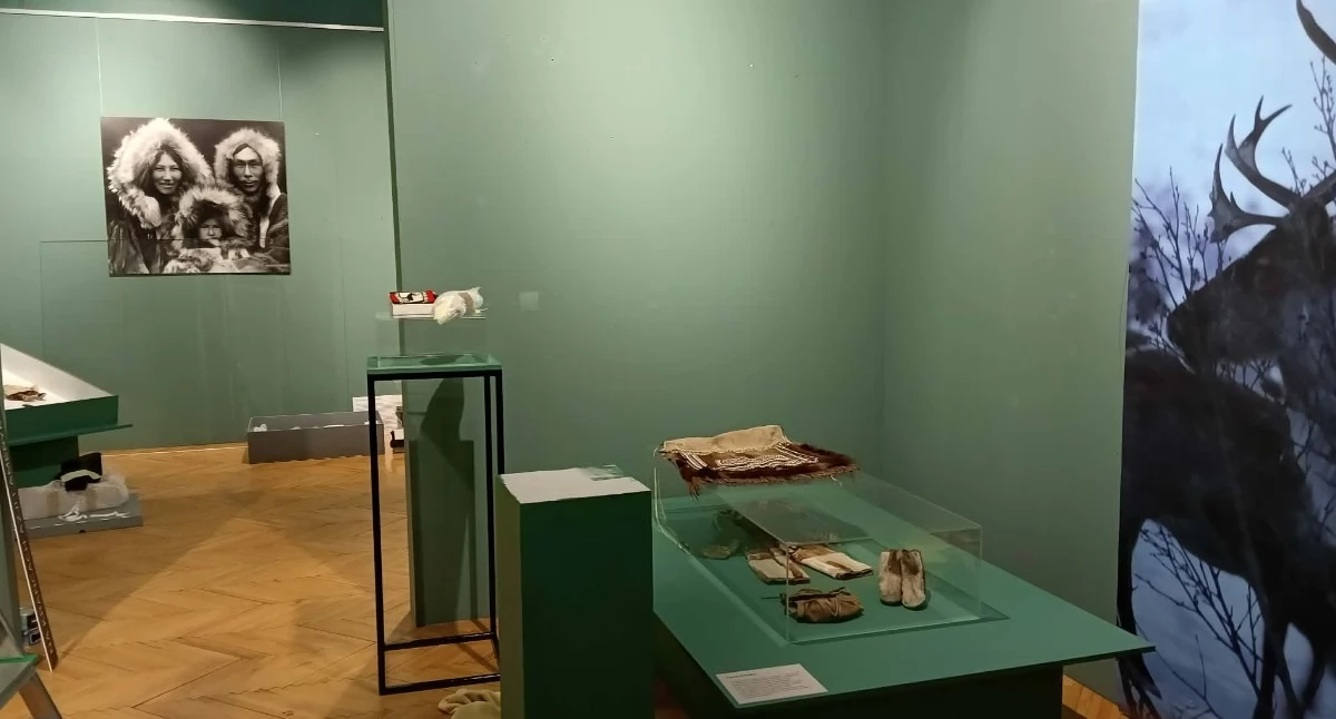 Wystawa „Tropem renifera. Opowieść o kulturach Północy” dostępna dla lokalnej publiczności  w radomszczańskim muzeum