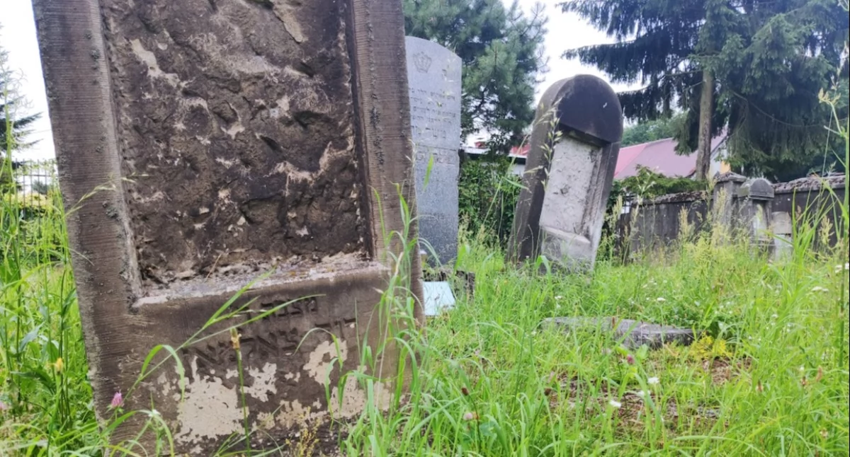 W najbliższą niedzielę odbędzie się spacer po cmentarzu żydowskim. Przewodnikiem kustosz Kamil Rutkowski