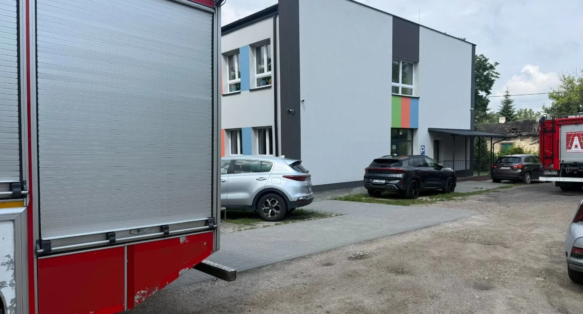 Szerszenie założyły gniazdo na placu zabaw przy szkole. Wezwano strażaków
