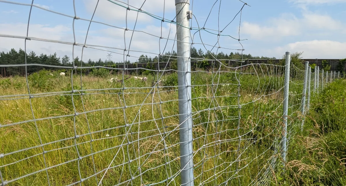 Uwaga choroba, przejścia (dla zwierząt) nie ma. A kosztowało 25 milionów złotych