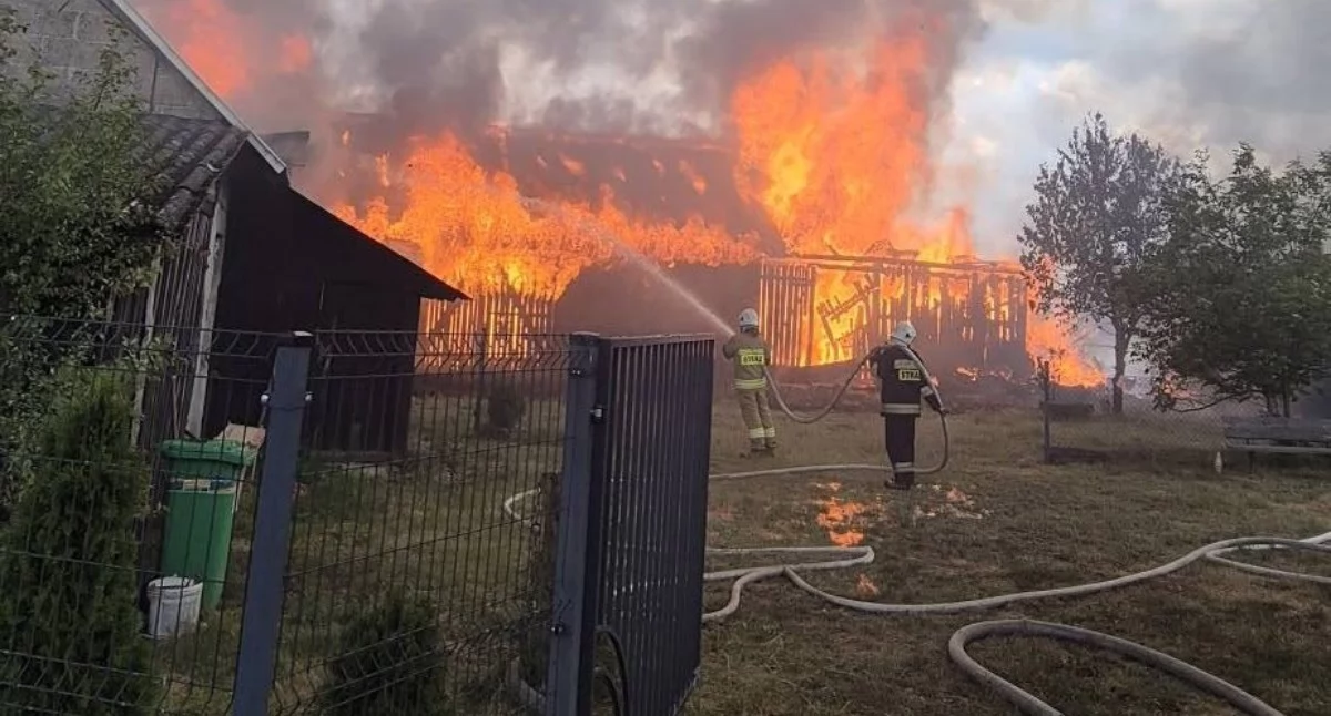 Płoną trawy i szumią knieje, podpalacze są wśród nas