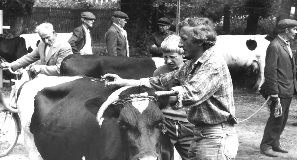 Kubacki go dopędził i zadał mu zakrzywionemi widłami kilka ciosów w głowę [Historia Gazetą pisana] 