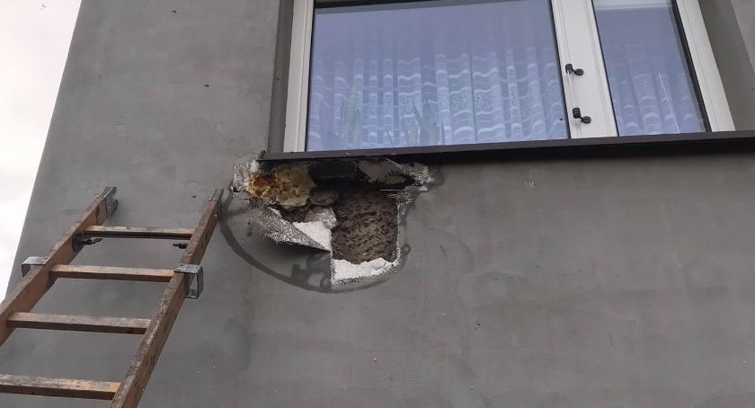 Założyły gniazdo pod ociepleniem. Musieli interweniować strażacy