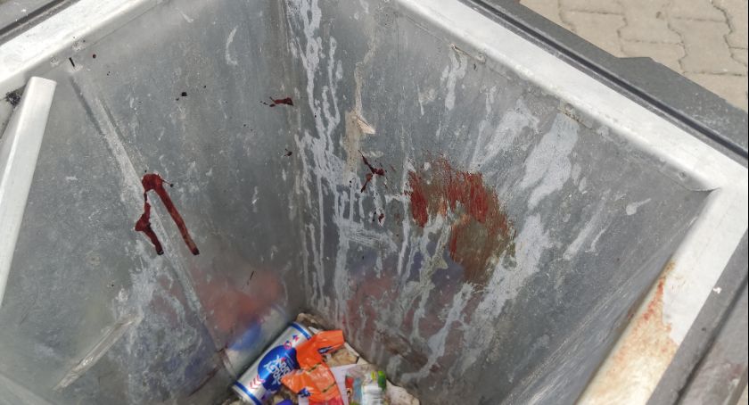 Skąd to bestialstwo wobec zwierząt? Psycholog: Za agresją kryje się słabość