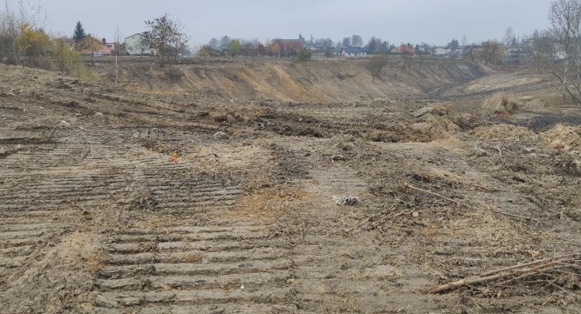 Tradycji w Radomsku stało się zadość. Drzewa na Gliniankach zostały wycięte