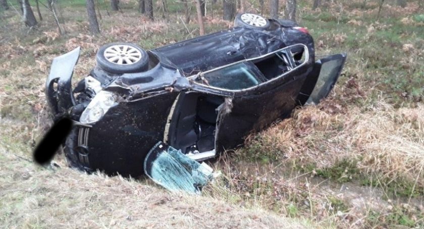 Zderzenie samochodu z łosiem na DK 91. Volkswagenem kierował 51-latek