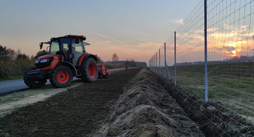 Siewcy chaosu: „Dla perfekcjonistów w mieście zostawiamy równo wykoszony metr trawnika