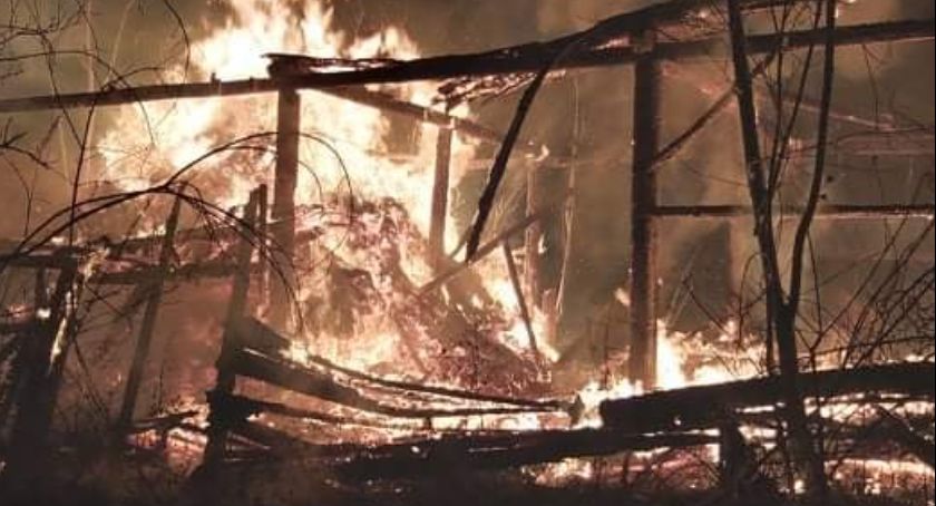 Pożar stodoły w Kawęczynie w gminie Masłowice gasiło pięć zastępów straży