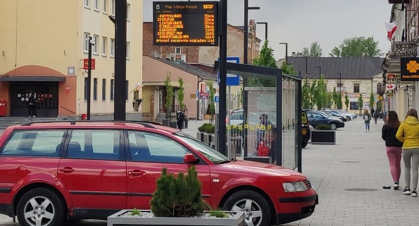 Winny ws. drzew pilnie poszukiwany. Wykonawca odpowiada: urząd wiedział o wszystkim od miesięcy