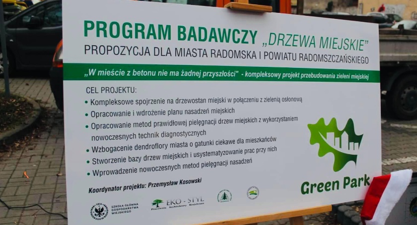 Specjaliści wzięli się za drzewa w mieście: zbadają, zaprojektują i jeszcze sami za to zapłacą