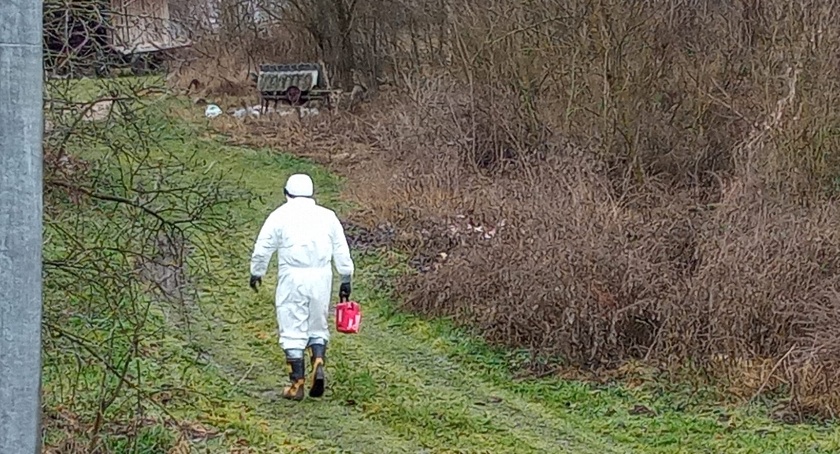 Strażacy ochotnicy z Wielgomłyn i zawodowcy z Radomska zastępowali pogotowie ratunkowe. W reżimie covidowym