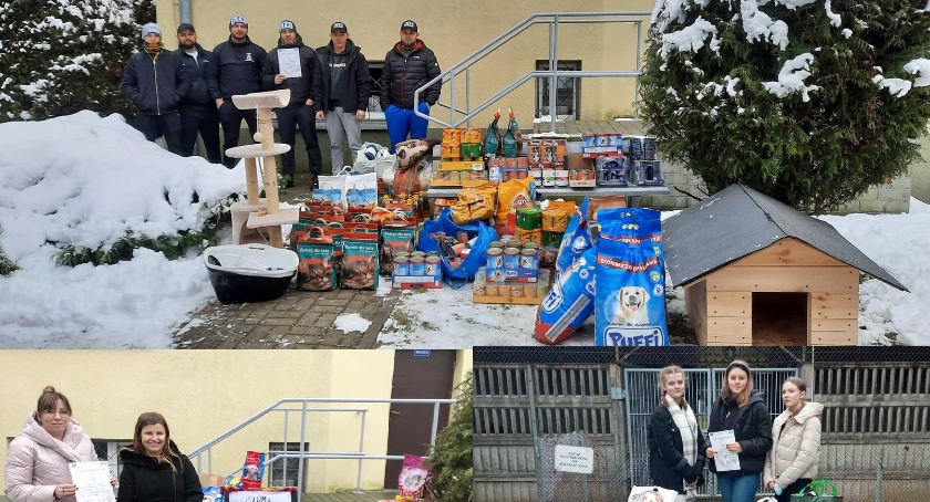 Radomszczanie chętnie pomagają zwierzakom. Tegoroczne zbiórki: od dzieci, przez kibiców i stowarzyszenia 