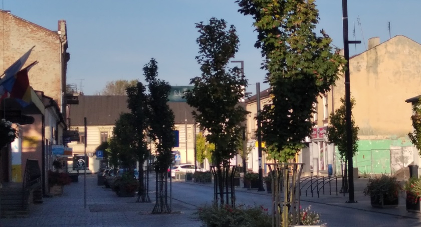 Miasto pozyskało pieniądze z WFOŚiGW na park przy ulicy Reymonta 