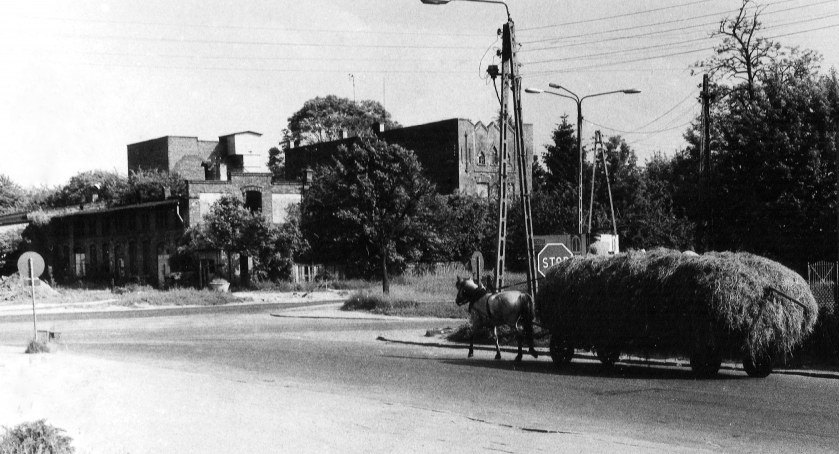 [2000] Podróż do Anglii. Drzwi do wielkiego świata miały się otworzyć, ale coś poszło nie tak