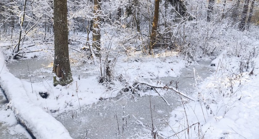 Jeszcze dwa dni mrozu, potem nawet 8 stopni na plusie. Sylwester i Nowy Rok ma być całkiem ciepły 