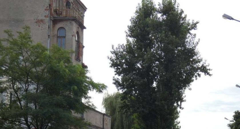 Firma z Boronowa przebuduje ulicę Żeromskiego. Za niecałe 3 mln zł. Urząd miasta rozstrzygnął przetarg 