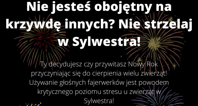 Młodzieżowa Rada Miasta przypomina: huk materiałów pirotechnicznych wywołuje u zwierząt stres