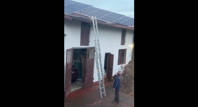 [WIDEO] Akcja ratowania Lando. Irena Bareła: tak się powinno to robić, a nie od razu wzywać straż pożarną