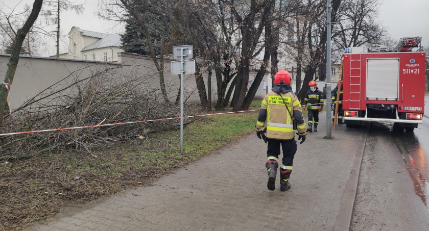 Uwaga, dzisiaj mocno powieje. Strażacy zajęli się złamanym drzewem przy klasztorze