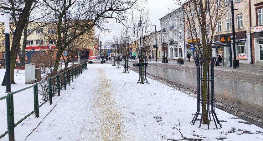 I po drzewach? Jeszcze nic pewnego. Prokuratura w Radomsku umorzyła, ta w Piotrkowie analizuje [Komentarz] 