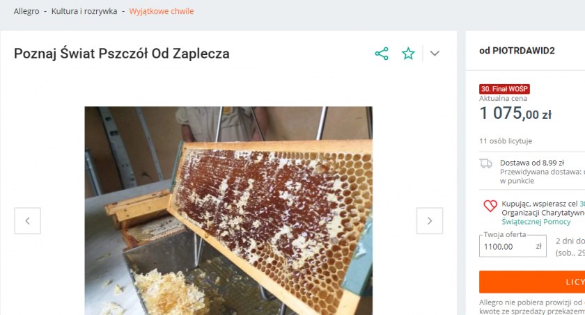 Ola Janicka zachęca: licytuj, wesprzyj WOŚP, a w zamian pokażemy ci świat pszczół od zaplecza