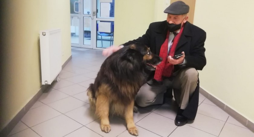 Historia z happy endem. Po 8-letnią suczkę na komisariat w Kamieńsku zgłosił się jej właściciel