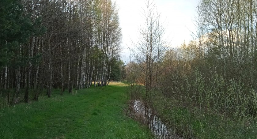  Nadleśnictwo Radomsko skupuje grunty pod zalesienie. Zaprasza zainteresowanych sprzedażą