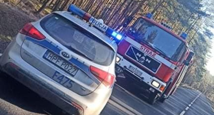 Strażacy z Żytna i Przedborza usuwali drzewa. Jedno z drogi, drugie z linii energetycznej