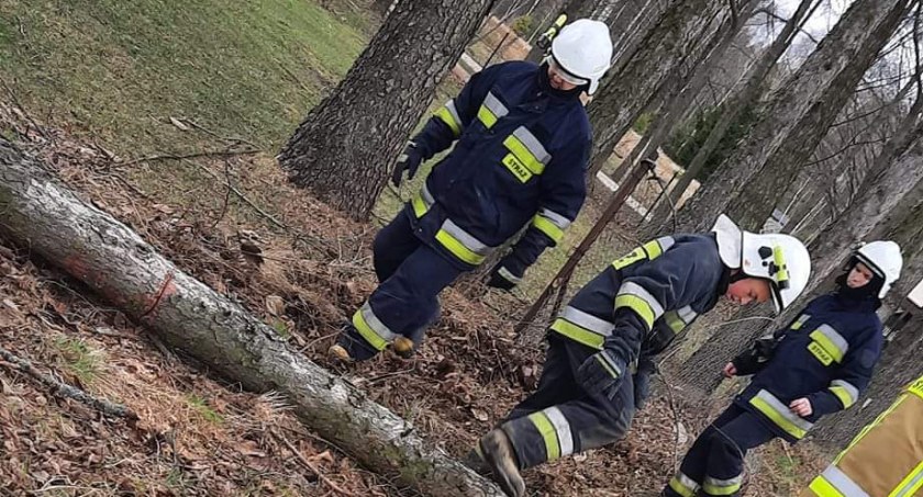 Bilans sobotniej wichury w Radomsku i powiecie. 196 strażaków wyjeżdżało do akcji 27 razy 