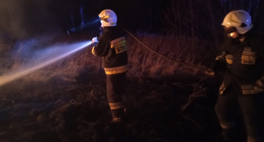 Sezon na wypalanie trwa rozpoczęty. Takie pożary gasili już strażacy z Wielgomłyn, Silnicy, Suchej Wsi i Przedborza